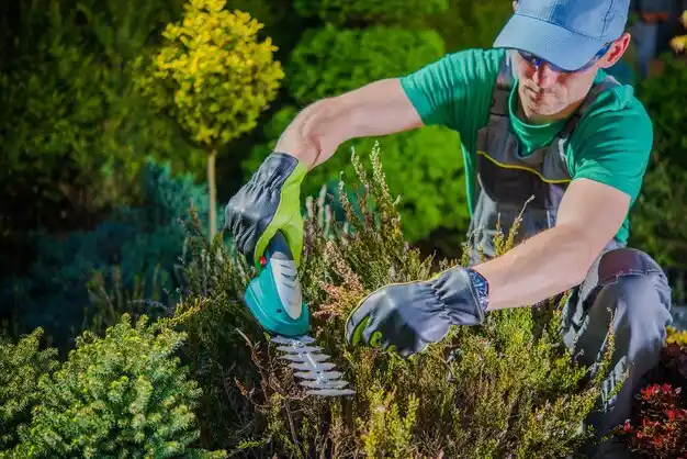 landscaping services Forestdale